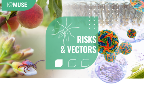 Risk & Vectors - MUSE Montpellier - Diag4Zoo presents its activity on vector-borne diseases.