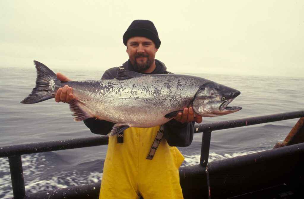 Accurate species of tuna fish identification plays an important role in efforts to preserve and sustainably manage fish populations.