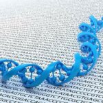 Séquençage d'un brin d'ADN